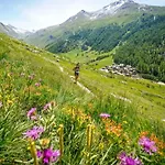 Triolet Jardin - Garden With Mont Blanc Views *