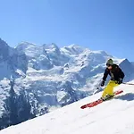 Triolet Jardin - Garden With Mont Blanc Views * 샤모니